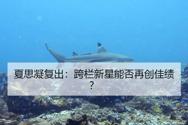 夏思凝复出：跨栏新星能否再创佳绩？