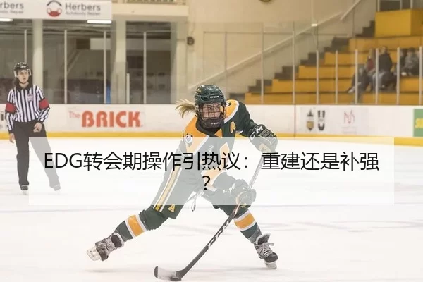 EDG转会期操作引热议：重建还是补强？